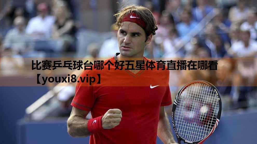 比赛乒乓球台哪个好五星体育直播在哪看