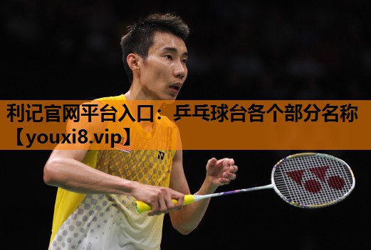 乒乓球台各个部分名称 乒乓球台各个部分名称