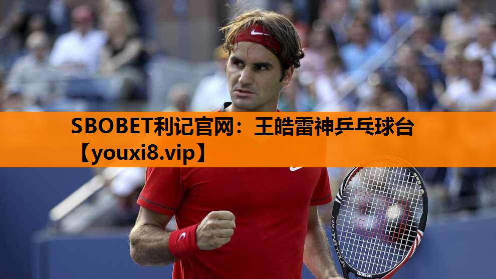 王皓雷神乒乓球台 王皓雷神乒乓球台